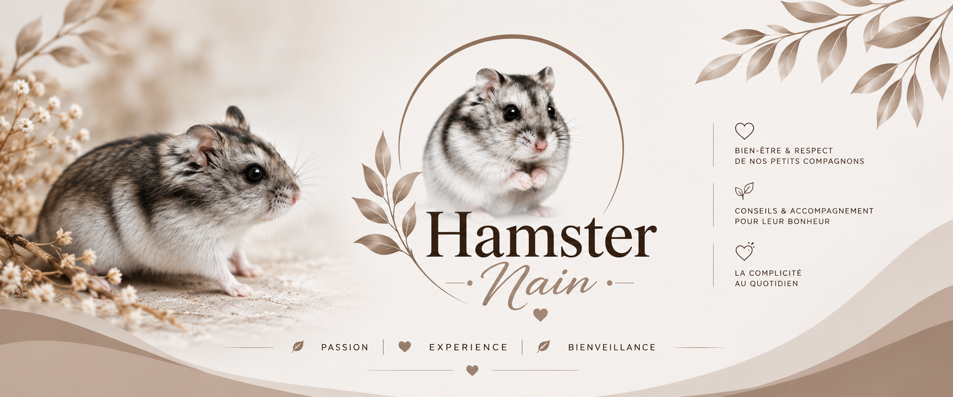 Hamster Nain